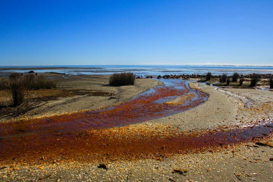 A burnt umber coloured river meanders into the sea with a bright blue sky in the background.