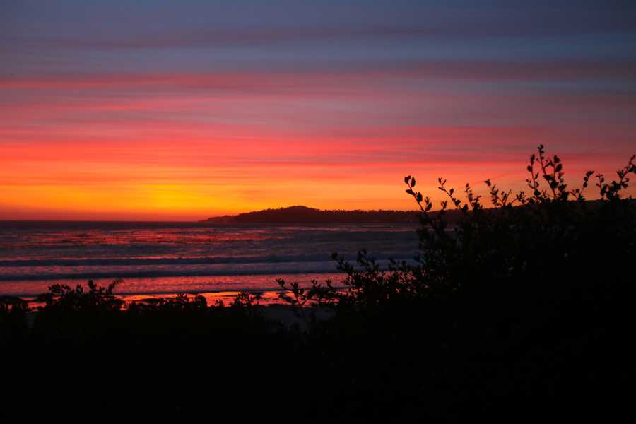 A warm, coral sunset over the beach at Carmel-by-the-Sea with a silhouette of foliage in the foreground.