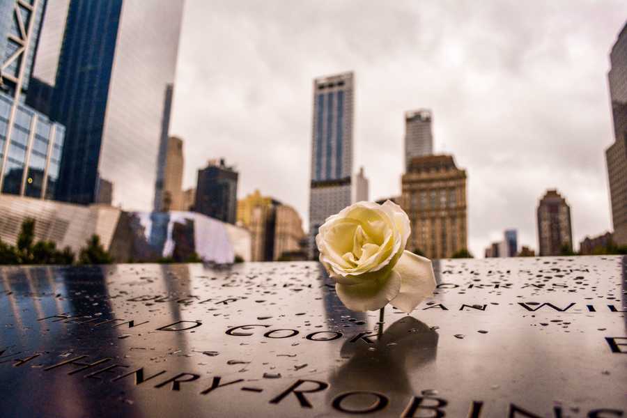 A white rose beside a name at the 9/11 memorial to mark the victim's birthday.