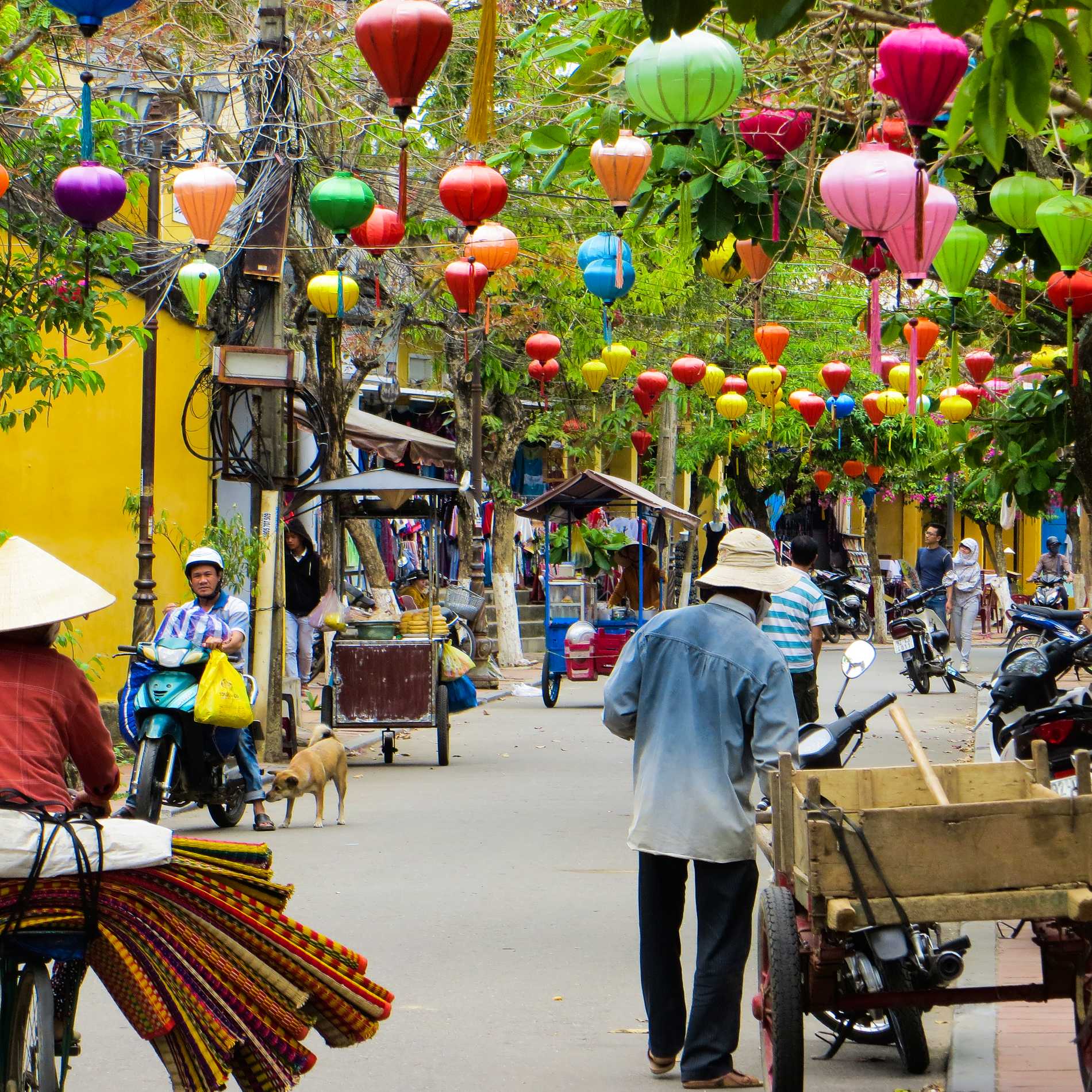 Street Scene – Hoi An, Vietnam: Hoi An is a popular stop for anyone travelling through Vietnam – small but bustling at all hours of the day. It’s full of colour, with bright yellow buildings and vibrant lanterns making it a picture-perfect destination.