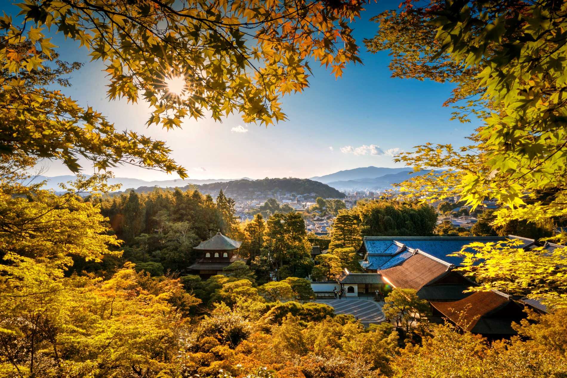 Looking through a frame of golden autumnal trees through to the temple rooftops of Kyoto below and rolling hills and bright blue sky in the distance.