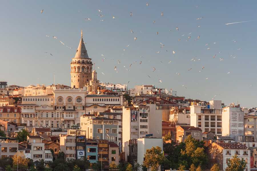 Birds flying over the rooftops of Istanbul as the sun sets.